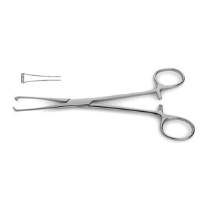 Allis Tissue Forceps 8" (20.0 cm) Tool for Surgical Precision